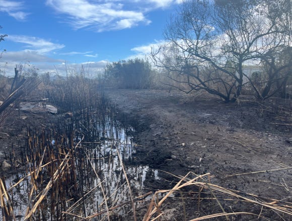Albufera Brände Okt.2024